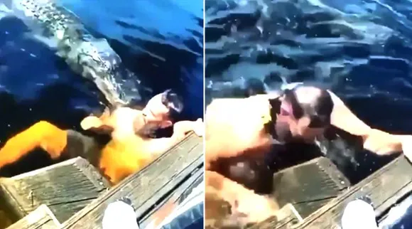man swims with alligators, alligator suddenly attacked man, viral video, முதலையுடன் குளித்த நபர், வைரல் வீடியோ, முதலை, trending video, man swims with alligators video, tamil viral news,tamil viral video news, trending news