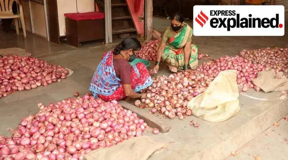 Onion prices, onions, onion prices india, onion prices explained, வெங்காயம், வெங்காயம் வணிகம், onion trade, Onion prices high, vegetable prices, வெங்காயம் விலை உயர்வு, வெங்காயம் விலை உயர்வைக் கட்டுப்படுத்த மத்திய அரசு நடவடிக்கை, high vegetable prices, tamil indian express, central govt moves to contro Onion prices
