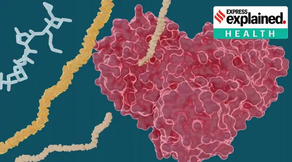 Hepatitis C drugs for covid 19 corona virus tamil news 