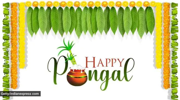 happy pongal, happy pongal 2021, pongal, pongal 2021, happy pongal images, happy pongal images 2021, happy pongal 2021 status, happy pongal wishes images, pongal images, pongal wishes images, pongal quotes, பொங்கல் வாழ்த்து, பொங்கல் 2021, தை திருநாள், மாட்டு பொங்கல், தமிழர் திருநாள், காணும் பொங்கல், happy pongal quotes, happy pongal wishes quotes, happy pongal wallpaper, happy pongal video, happy pongal pics, happy pongal photos, happy pongal messages, happy pongal sms, பொங்கல் வாழ்த்து புகைப்படங்கள், ஹாப்பி பொங்கல், happy pongal wishes sms, happy pongal wishes messages, happy pongal status video, happy pongal wishes status, pongal wishes