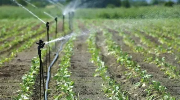 Lifestyle news in tamil home garden and terrace garden tamilnadu govt scheme