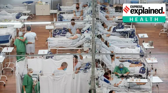 Brazil covid 19 cases deaths alert Tamil News