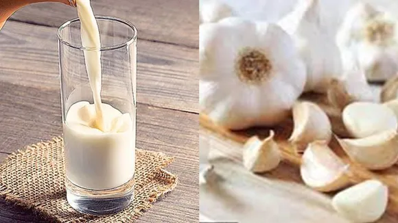 garlic milk benefits, how to make garlic milk, garlic milk for weight loss, garlic milk recipe, பூண்டு பால், பூண்டு பால் நன்மைகள், பூண்டு பால் செய்வது எப்படி, பூண்டு பாலின் நன்மைகள், garlic milk benefits tamil, garlic milk side effects, garlic milk recipe, garlic milk for breastfeeding, garlic milk for weight loss, தாய்ப்பால் சுரப்பதற்கு பூண்டு பால், garlic milk turmeric benefits, பூண்டு பாலின் குணங்கள், garlic milk for gas, garlic milk ayurveda