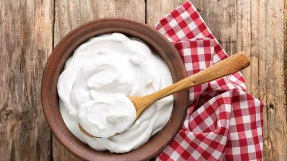 Healthy food Tamil News: how to make curd at home without jaman or starter