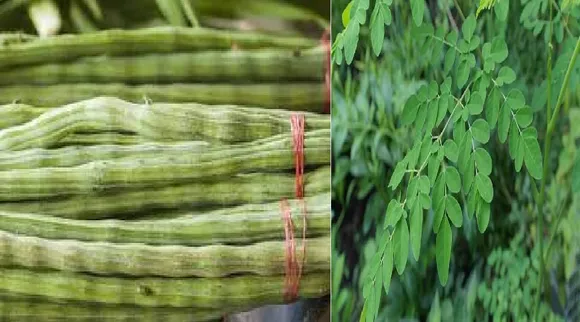 விட்டமின், புரோட்டின்... உங்கள் கையருகே கிடைக்கும் ஆகச்சிறந்த உணவு இது!
