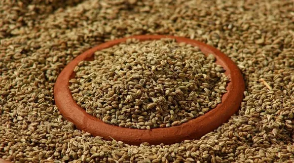 மூச்சுத் திணறல், காய்ச்சல் வராது: ஓமம் தண்ணீர் இப்படி தயாரித்து காலையில் குடிங்க!