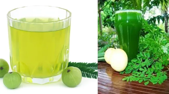 Immunity boosting drinks Tamil News: Build Your Immunity to Fight Covid with Amla and Moringa leaves