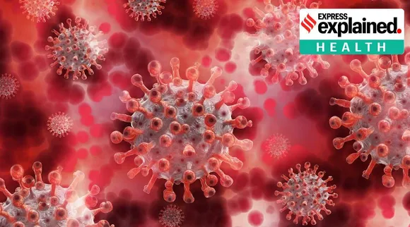 Chances low that sars cov 2 contamination on hospital surfaces is infectious Tamil News