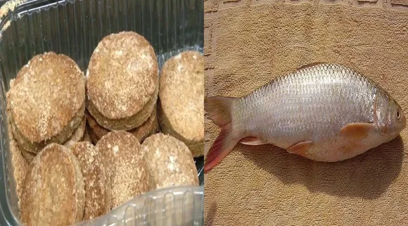 வந்துவிட்டது ஃபிஷ் பிஸ்கட்... குழந்தைகளுக்கு ரொம்ப நல்லதாம்!
