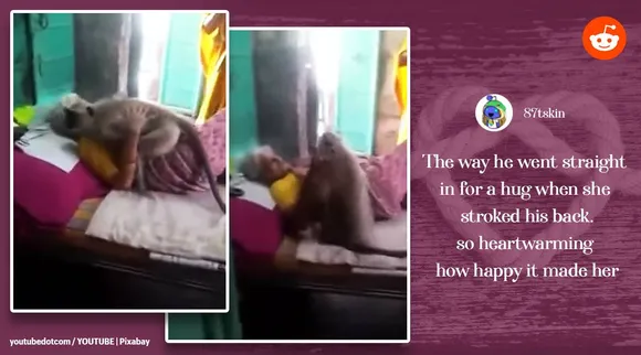 Trending viral video of langur hugs woman