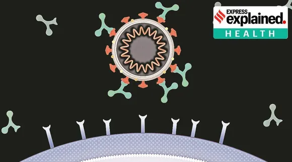 Combo antibody treatment reduces hospitalisation Tamil News
