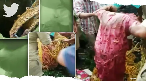Viral video, trending viral video, kerala videos,