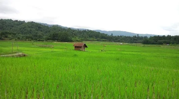 TN govt set target to disburse Rs 11,500 crore loans to farmers, cooperative banks, TN cooperative minister I Periyasamy, DMK, கூட்டுறவுத் துறை அமைச்சர் ஐ.பெரியசாமி, கூட்டுறவு வங்கிகள், விவசாயிகளுக்கு ரூ.11,500 கோடி கடன்கள் வழங்க இலக்கு, தமிழக அரசு, விவசாயிகள் வரவேற்பு, loans to farmers, tamil nadu cooperative banks, Sellur Raju
