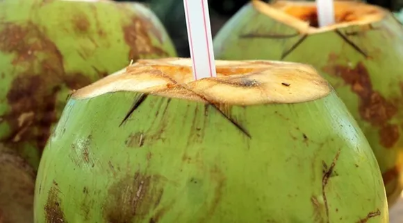எப்போ கிடைத்தாலும் மிஸ் பண்ணாதீங்க... இளமை ரகசியம் இந்த இளநீர் தான்!