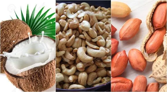 Health tips in tamil: myths around coconuts, cashews and peanuts