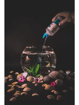 fish tank 1 - unsplash (1)