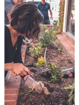 gardening - unsplash (1)