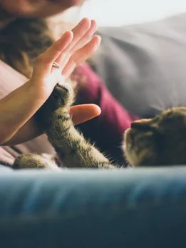 pet - unspalsh (1)