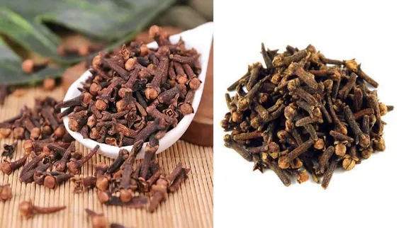 geographical Indications Tamil News: GI tags issued by the Chennai registry for 51 new products