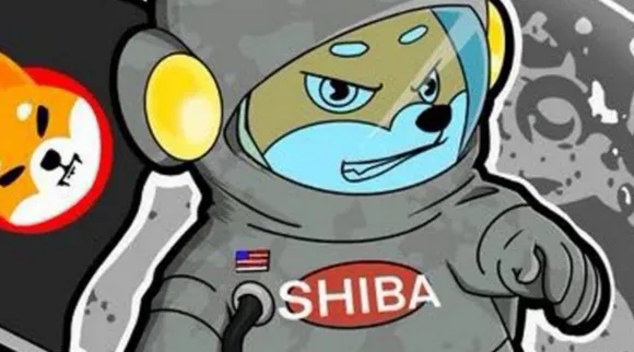 Cryptocurrency Tamil News: Shiba Inu’s market cap is now bigger than Adani Enterprises, Tata Steel and Tech Mahindra