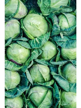 cabbage - unsplash (1)