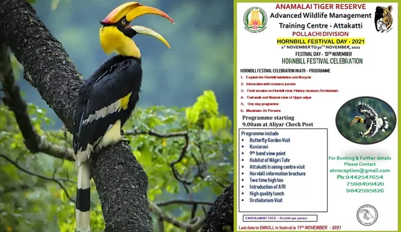 Anamalai Tiger Reserve, Hornbill festival