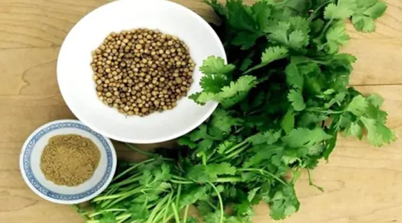 கண்பார்வை, ஜீரண சக்தி… கொத்தமல்லி இலையின் டாப் 5 நன்மைகள் இவை!
