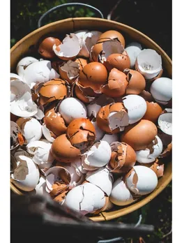 egg shells - unsplash (1)