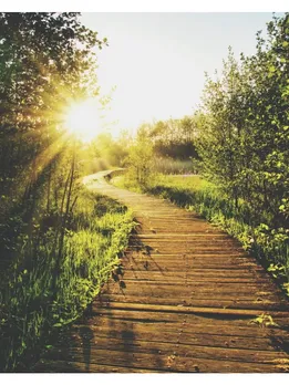 sunlight - unsplash (1)