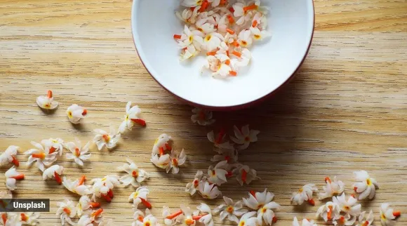 Tamil health tips: health benefits of parijat or night jasmine in tamil