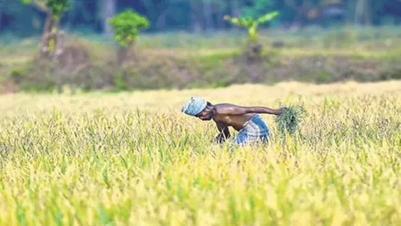 பிஎம் கிசான் நிதியுதவி; 11-வது தவணை குறித்த முக்கிய அறிவிப்பு