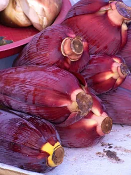 banana flower - unsplash (1)