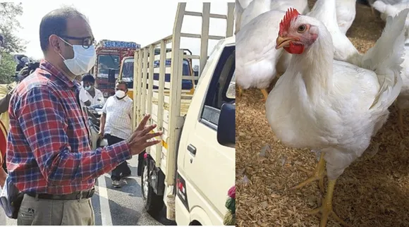 கேரளாவில் அதிகரிக்கும் பறவைக் காய்ச்சல்; உஷார் நிலையில் தமிழக எல்லைப் பகுதிகள்