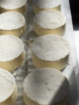 cheese - unsplash (3)