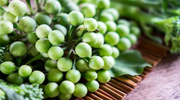 Health Benefits and cons of Turkey Berry Tamil News