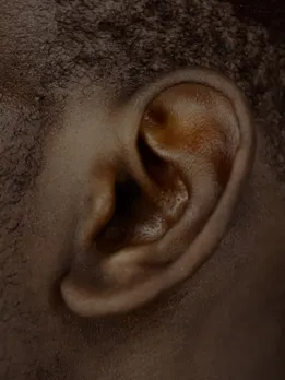ear - unsplash (1)