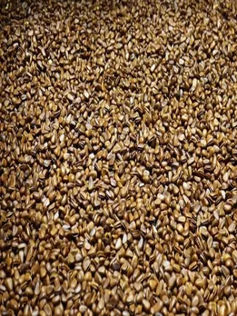flax seeds - unsplash (1)