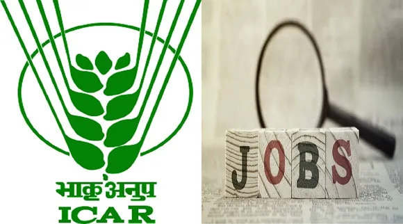 ICAR Recruitment; இந்திய வேளாண் ஆராய்ச்சி கழகத்தில் 641 பணியிடங்கள்; 10-ம் வகுப்பு தேர்ச்சி போதும்!
