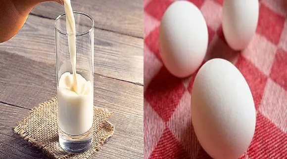 பால், முட்டை... ஃப்ரீசரில் வைக்கவே கூடாத 5 உணவுகள் இவை!