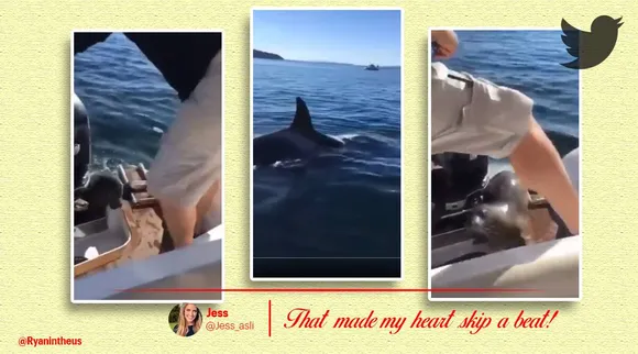 viral video, trending viral video, trending videos online,