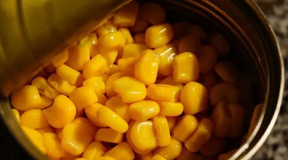 Tamil health tips: Health Benefits Of Corn in tamil