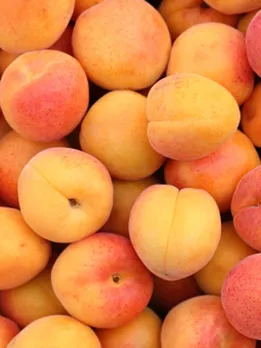 Apricot - Unsplash (1)