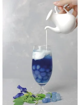 blue tea 4 - unspalsh (1)