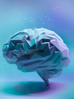 brain 6 - unsplash (1)