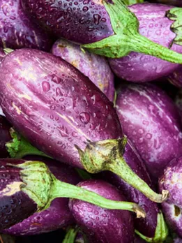 brinjal 2 - unsplash (1)