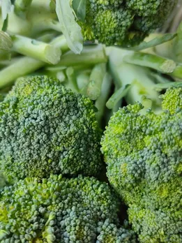 broccoli - unsplash (1)