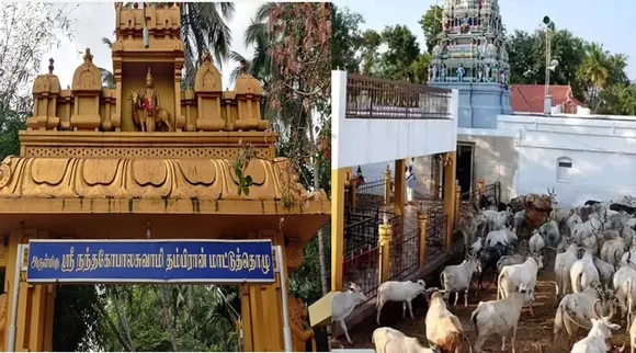 Nandagoapalan thambiran thozhuvam in Theni