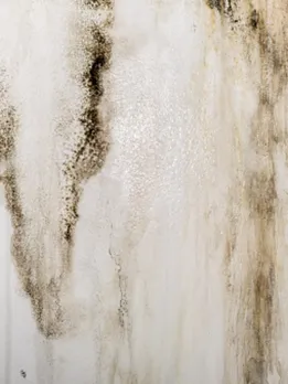 dirty wall 2 - unsplash (1)
