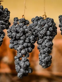 dry grapes 5 - unsplash (1)