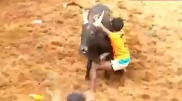 அமைச்சர் பி.டி.ஆர் மாட்டை பிடிச்சா பரிசு கிடையாதா? அலங்காநல்லூர் காமெடி